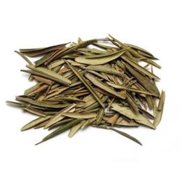 50 gr Zeytin Yaprağı