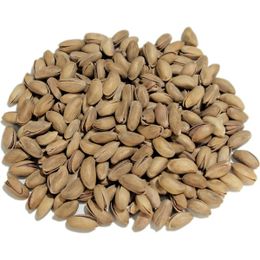 500 gr Kavrulmuş Antep Fıstığı