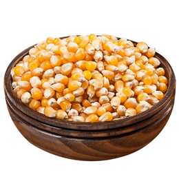 500 gr Patlayan Mısır