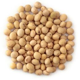 500 gr Soya Fasulyesi