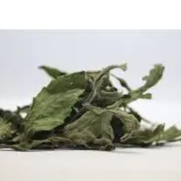 500 gr Stevia