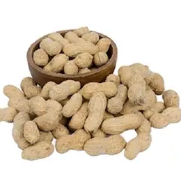 500 gr Tuzlu Kabuklu Yer Fıstığı