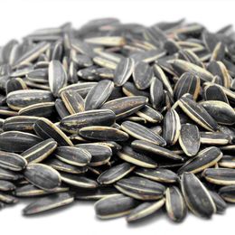 500 gr Tuzsuz Çiğ Dakota Çekirdek