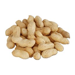 500 gr Tuzsuz Kabuklu Fıstık