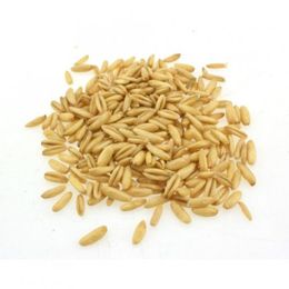 500 gr Yulaf Samanı Otu
