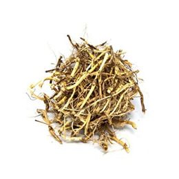 70 gr Ayrık Otu
