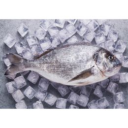 800 gr Çipura