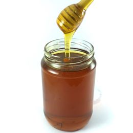 850 gr Kekik Balı