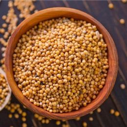 Akdeniz Vitamin 250 gr Sarı Hardal Tohumu