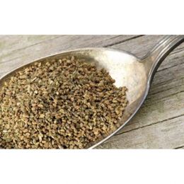 Aktar Alışveriş 100 gr Kereviz Tohumu