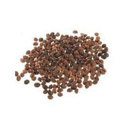 Aktar Diyarı 1 kg Ispanak Tohumu
