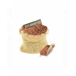 Aktar Diyarı 100 gr Reishi Mantarı Tozu