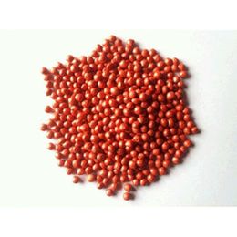 Aktar Diyarı 500 gr Kırmızı Turp Tohumu
