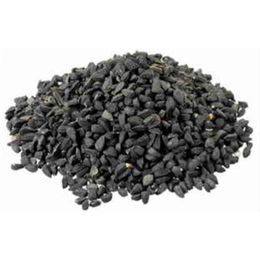 Aktar Diyarı 500 gr Semiz Otu Tohumu