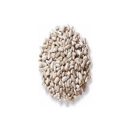 Aktar Store 100 gr Aspir Tohumu