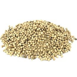 Aktar Store 100 gr Tane Akbiber