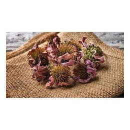 Aktar Store 50 gr Ekinezya Çiçeği