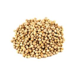 Aktar Store 50 gr Kişniş Tohumu