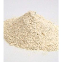 Aktar Store 50 gr Toz Soğan