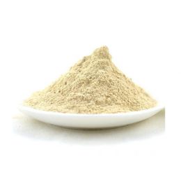 Aktar Store 50 gr Toz Soğan