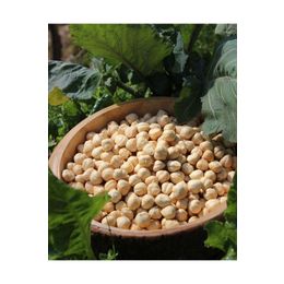 Aktarcınız 250 gr Giresun Fındık