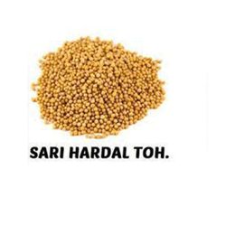 Aktarix 250gr Sarı Hardal Tohumu