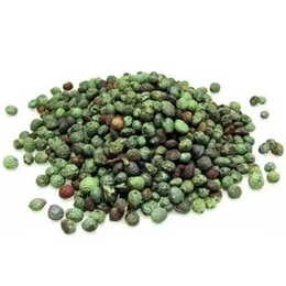 Aktarix 500 gr Menengiç-Çitlembik