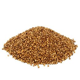 Aktarzane 1 kg Kişniş Tane Kinzi