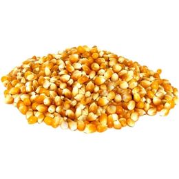 Aktarzane 1 kg Patlatmalık Mısır
