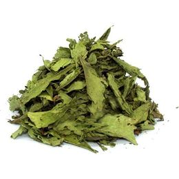 Aktarzane 1 kg Stevia Şeker Otu