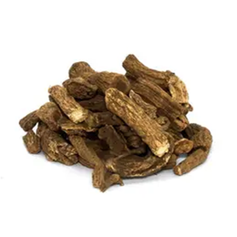 Aktarzane 1 kg Udi Hindi Kökü