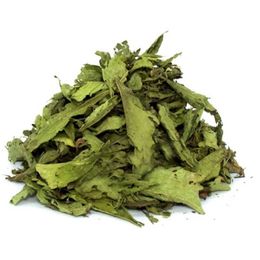 Aktarzane 100 gr Şeker Otu