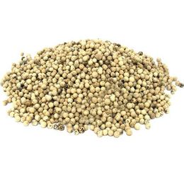 Aktarzane 100 gr Tane Beyaz Biber