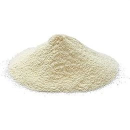 Aktarzane 1000 gr Süt Tozu