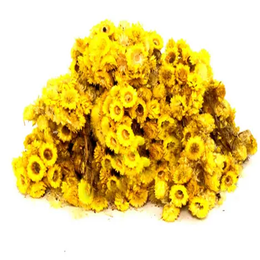 Aktarzane 250 gr Altınotu Altınbaşak Otu