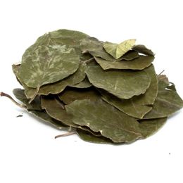 Aktarzane 250 gr Avakado Yaprağı