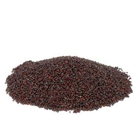 Aktarzane 250 gr Tane Siyah Hardal Tohumu