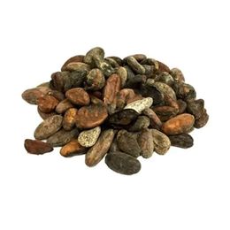Aktarzane 300 gr Ham Kakao Çekirdeği