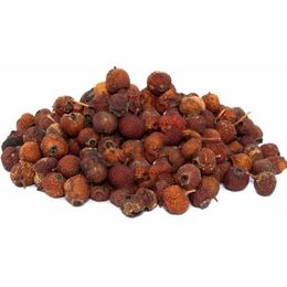 Aktarzane 500 gr Alıç Meyvesi