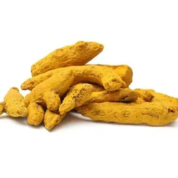 Aktarzane 500 gr Curcumin Kök Zerdeçal