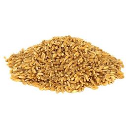 Aktarzane 500 gr Hediklik Buğday Diş Buğdayı