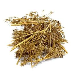 Aktarzane 500 gr Melek Otu