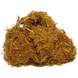 Aktarzane 500 gr Meyan Kökü