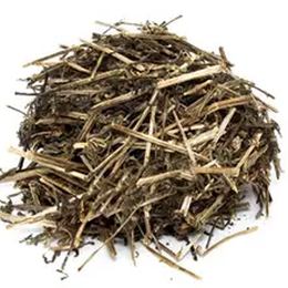 Aktarzane 500 gr Yakıotu Bitkisi