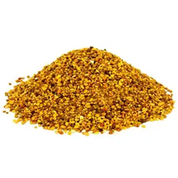 Aktarzane 500 gr Yaş Arı Poleni