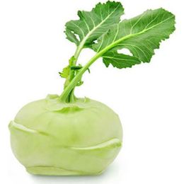 Alabaş Turp (Adet)