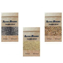 Aleyna Bitkisel 100 gr Keten Tohumu + 100 gr Kinoa + 100 gr Chia Tohumu