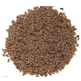 Aleyna Bitkisel Tane 250 gr Karnıyarık Otu Tohumu