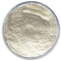 Alfasol 1 kg Laktoz