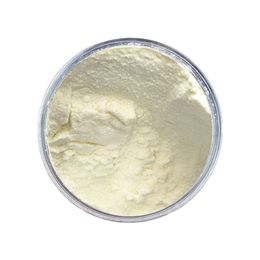 Alfasol 2.5 kg Peynir Altı Suyu Tozu %70